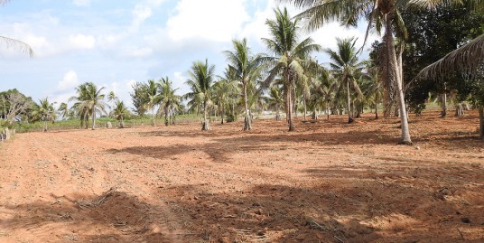 Land for sale at Mabprachan Lake