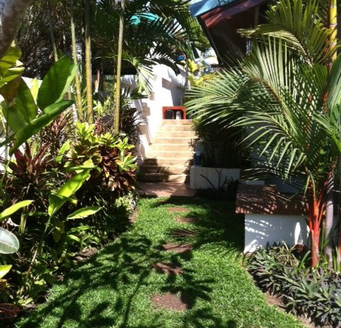 tropical garden